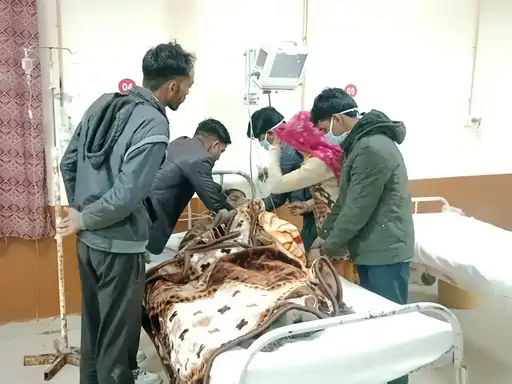 मधुमक्खी के हमले में 14 साल की बच्ची घायल:गंभीर हालत में बीकानेर किया रेफर, खेत में परिजनों के लिए खाना बनाते समय हुआ हादसा