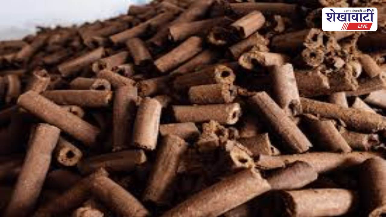 Sikar News : सीकर में गोकाष्ठ से होगा होलिका दहन 2 मार्च को