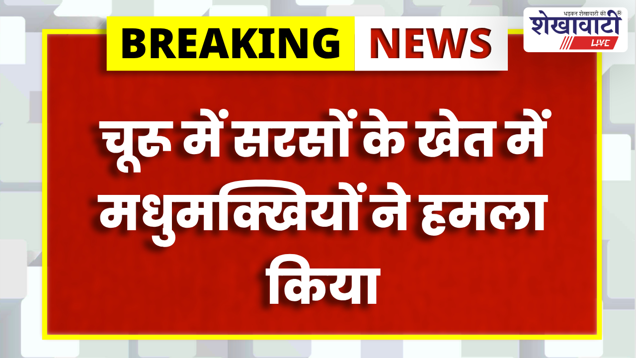 Churu News : चूरू में सरसों काट रहे किसानों पर मधुमक्खियों का हमला