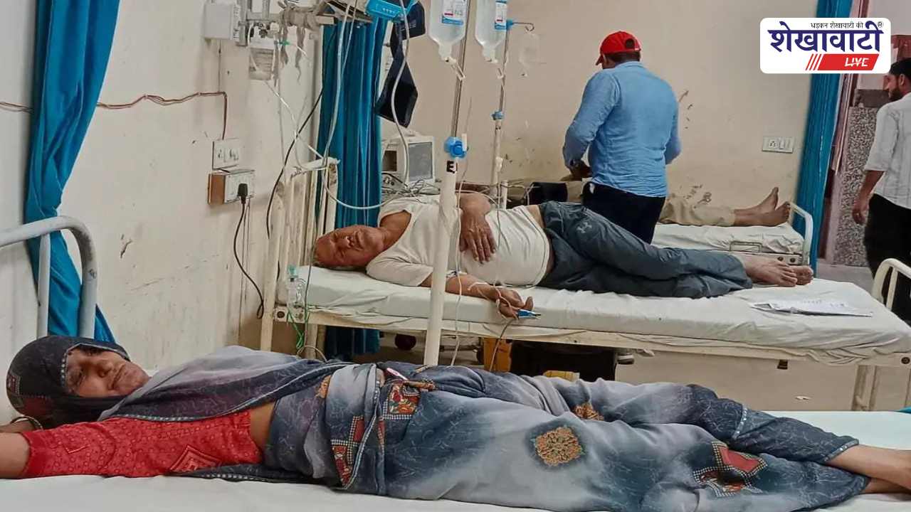 Churu News : चूरू में मधुमक्खियों का हमला: किसान परिवार के 3 घायल