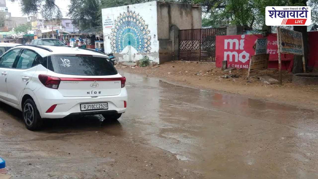 Churu News : बारिश से बढ़ी ठंड, फसलों को नुकसान की आशंका