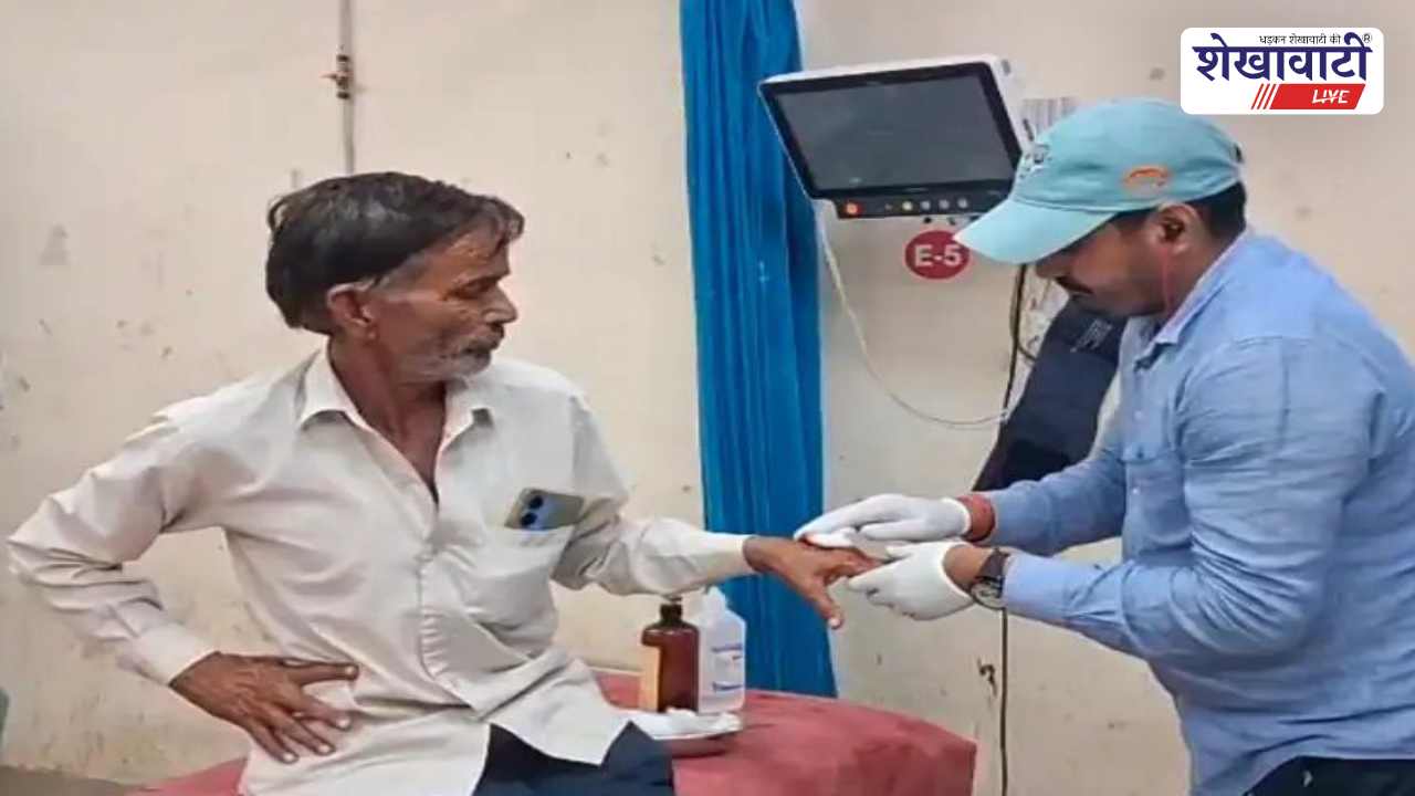 Churu News : ततैयों से घबराई नीलगाय टेंपो से टकराई, एक घायल