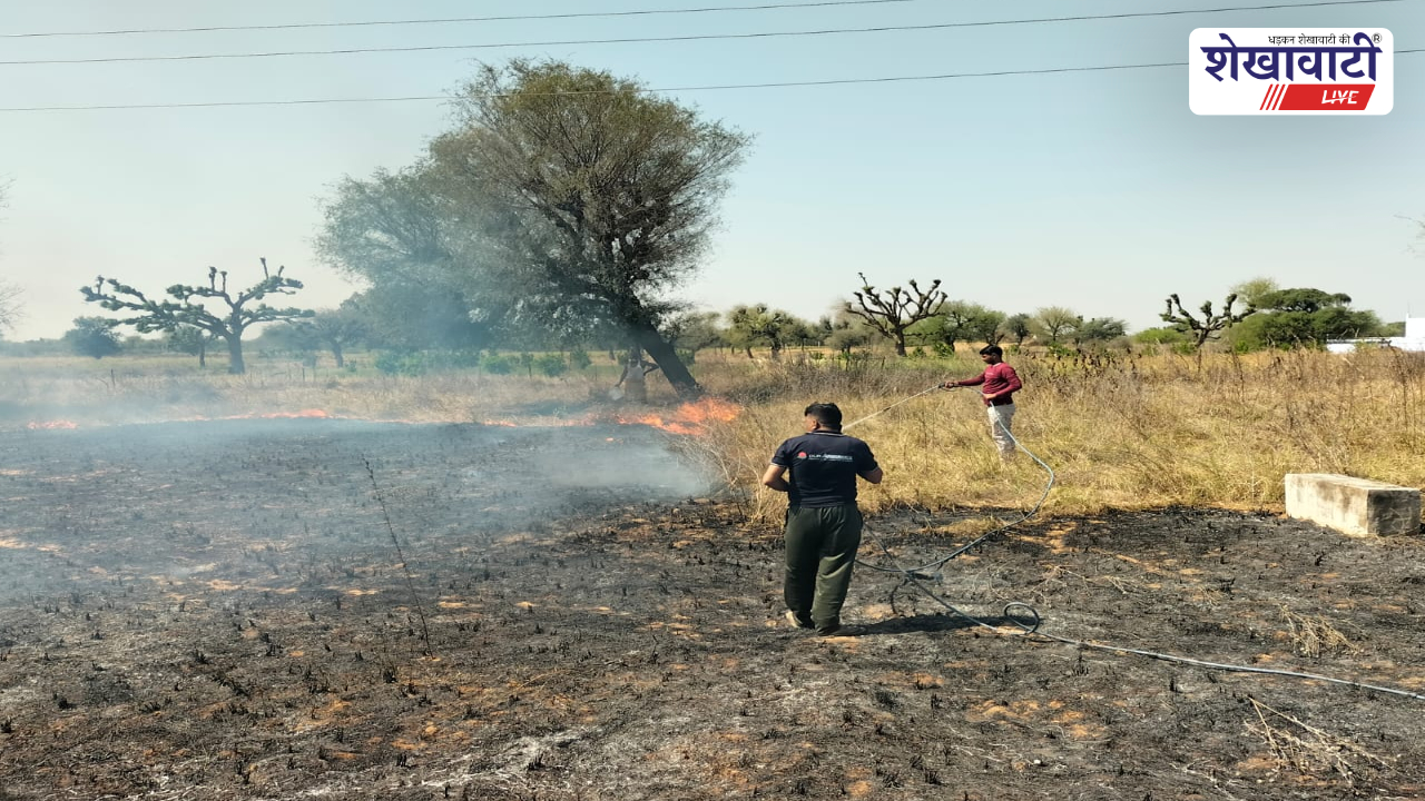 Jhunjhunu News : चिड़ावा: गिडानिया रोड पर खेत में आग, बड़ा नुकसान टला