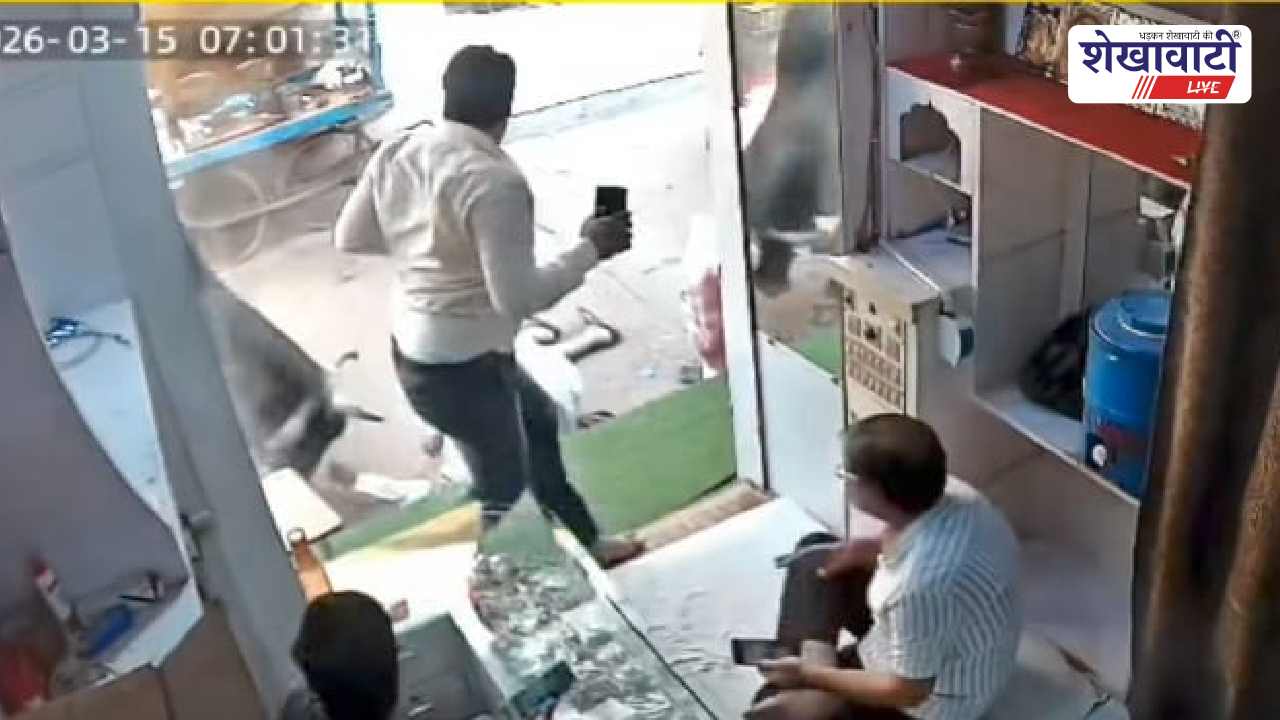 Sikar News : सांड हमले में घायल बुजुर्ग की मौत