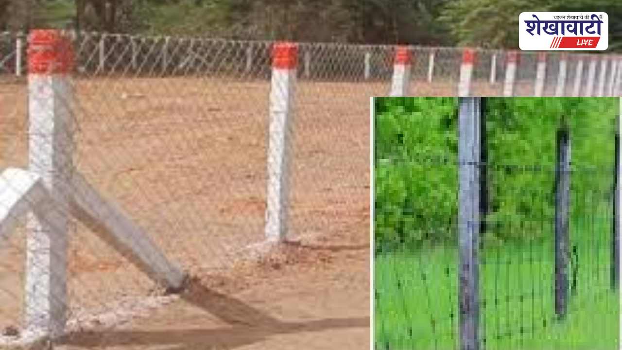 Sikar News : तारबंदी योजना में राहत: 0.5 हेक्टेयर पर भी अनुदान