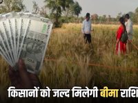 Rajasthan Crop Insurance: राजस्थान में किसानों को जल्द मिलेगी बीमा राशि, सरकार ने कंपनियों को दिए स्पष्ट निर्देश