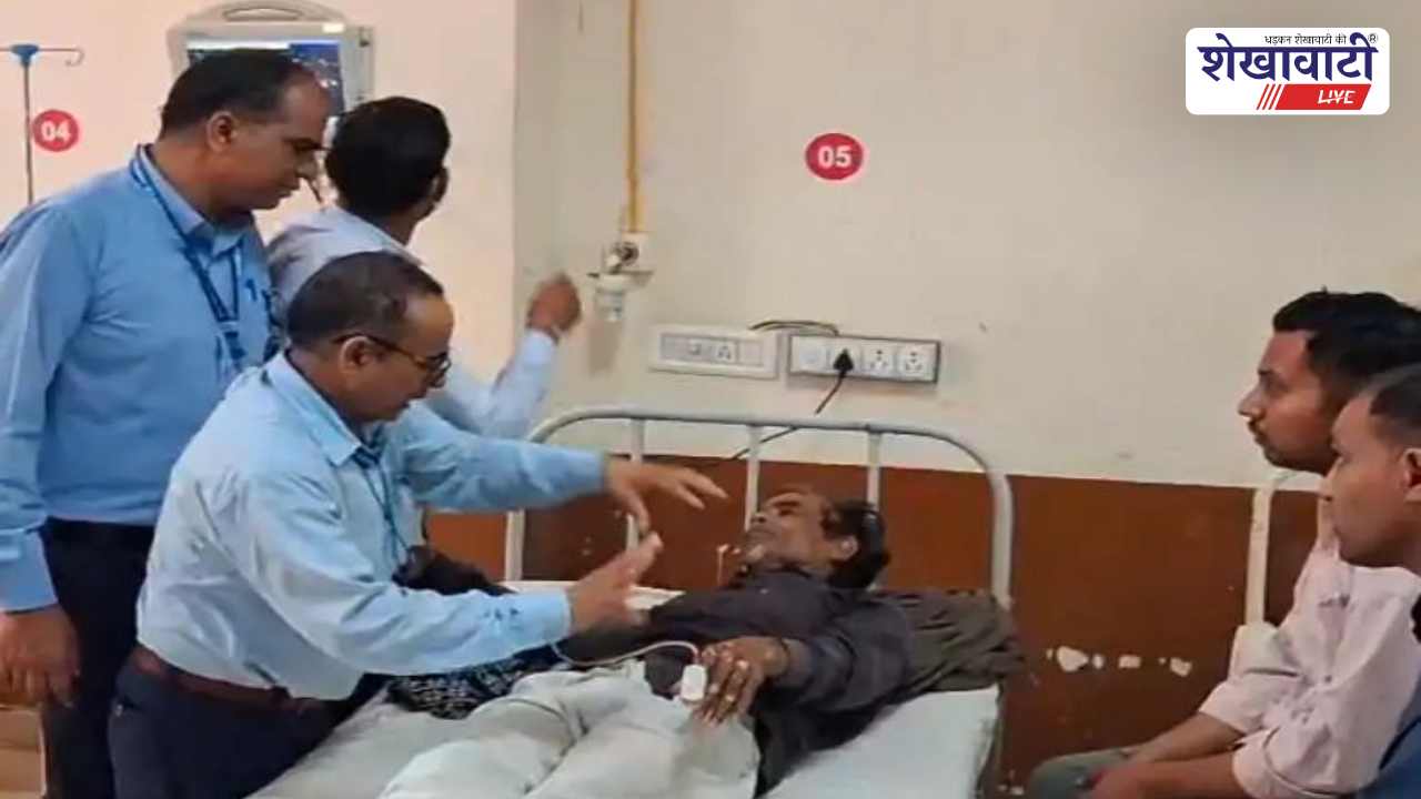 Churu News : मधुमक्खियों का हमला: 5 किसान घायल, अस्पताल में भर्ती