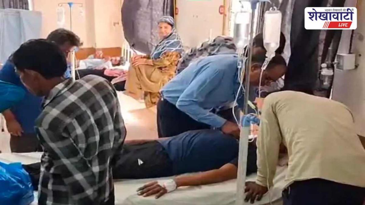 Churu News : मधुमक्खियों का हमला: किसान गंभीर रूप से घायल