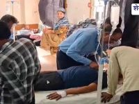 Churu News : मधुमक्खियों का हमला: किसान गंभीर रूप से घायल