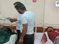 Churu News : मधुमक्खियों का हमला: किसान घायल, 5 साल की बच्ची समेत 4 भर्ती