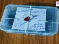 पुलिस ने 2 पिस्टल और 10 कारतूस के साथ 25 वर्षीय युवक दबोचा