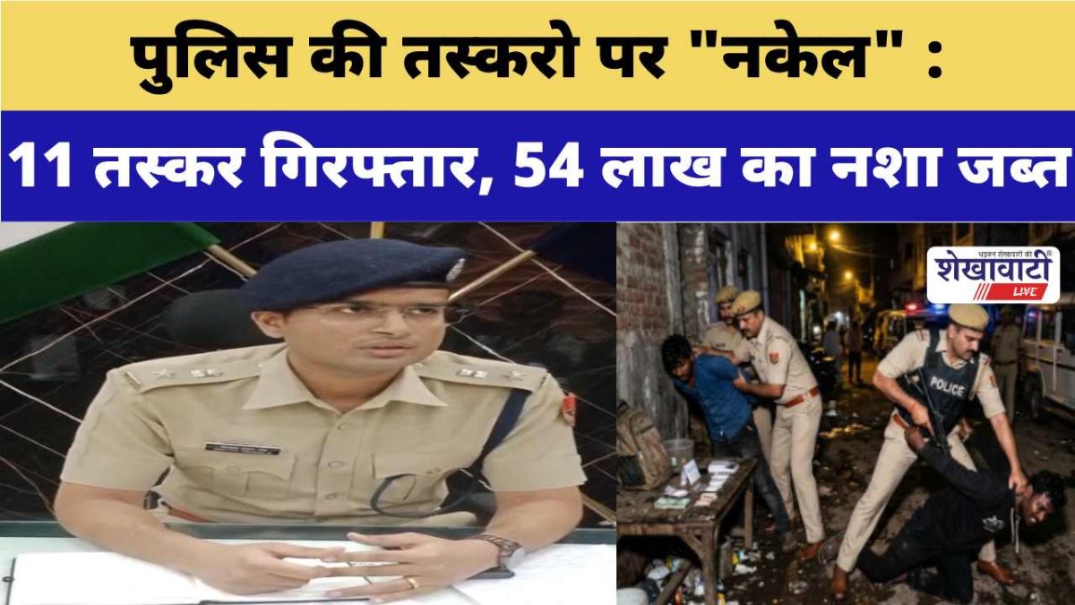 Video News : पुलिस की तस्करो पर “नकेल” : 11 तस्कर गिरफ्तार, 54 लाख का नशा जब्त