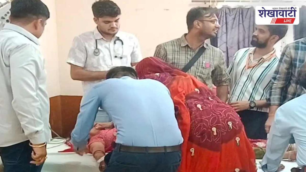 Churu News : मधुमक्खियों का हमला, महिला गंभीर घायल