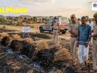Jhunjhunu News : सरसों की ढेरियों में आग लगाने वाला आरोपी गिरफ्तार