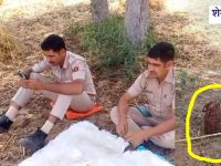 Jhunjhunu News : झुंझुनूं के जिवण का बास में खेत में जिंदा हैंड ग्रेनेड मिला