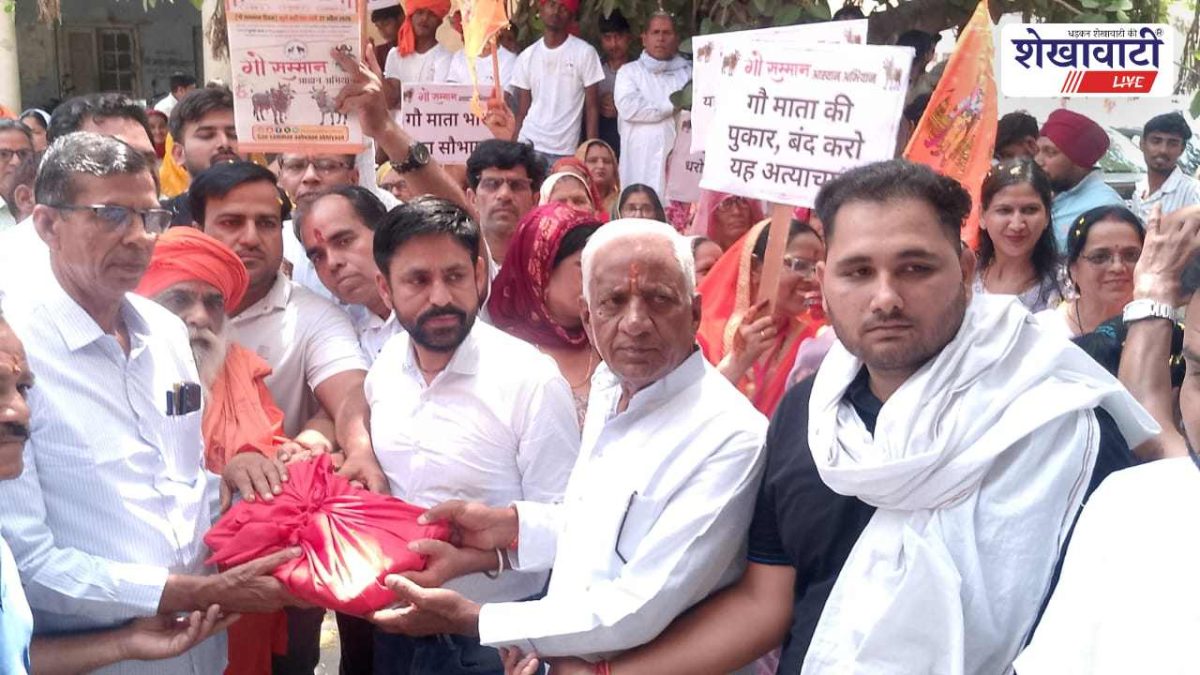 Jhunjhunu News : चिड़ावा में गो सम्मान यात्रा: प्रशासन को सौंपा ज्ञापन