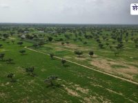 Jhunjhunu News : काटली नदी अतिक्रमण हटेंगे 2 माह में, NGT का बड़ा आदेश