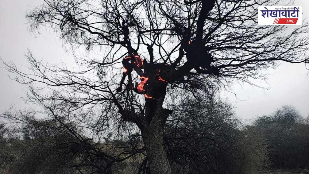 Sikar News : 11 हजार लाइन टकराने से आग, घरों के उपकरण जले