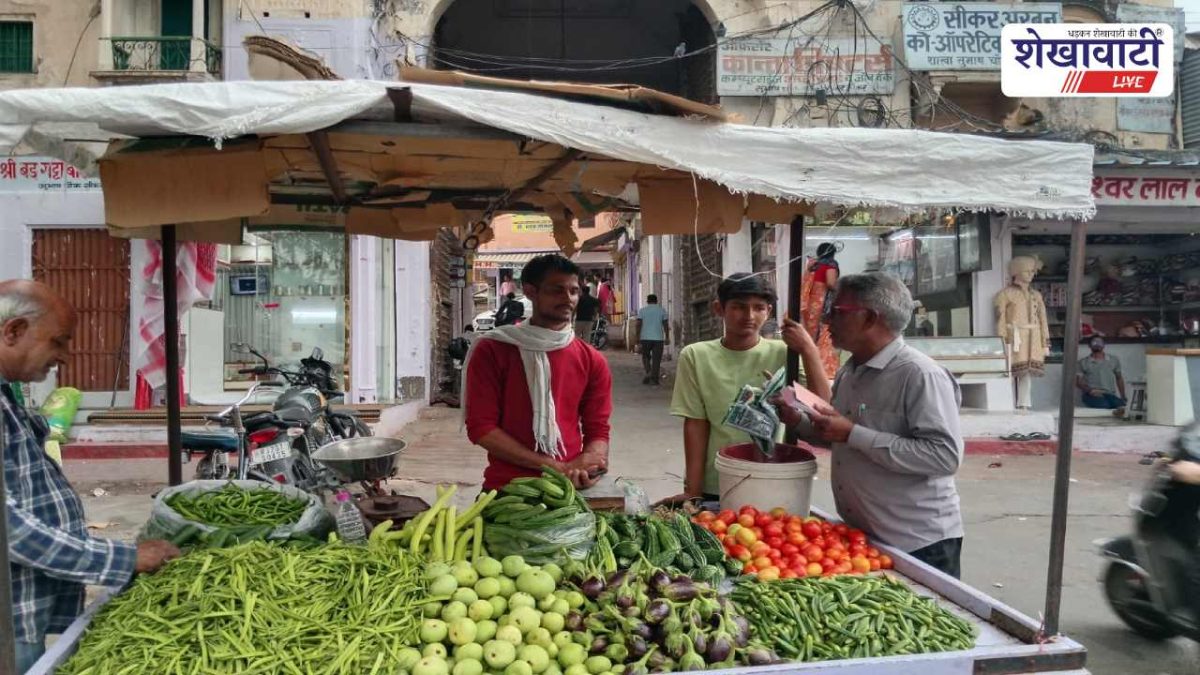 Sikar News : प्लास्टिक पर कार्रवाई, सफाई के लिए नगर परिषद सख्त