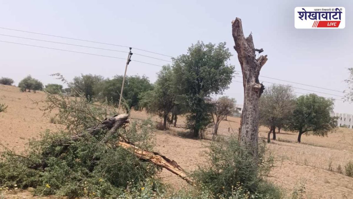 सिद्धमुख तूफान: 11KV के 10 पोल गिरे, बिजली ठप, रास्ते बंद