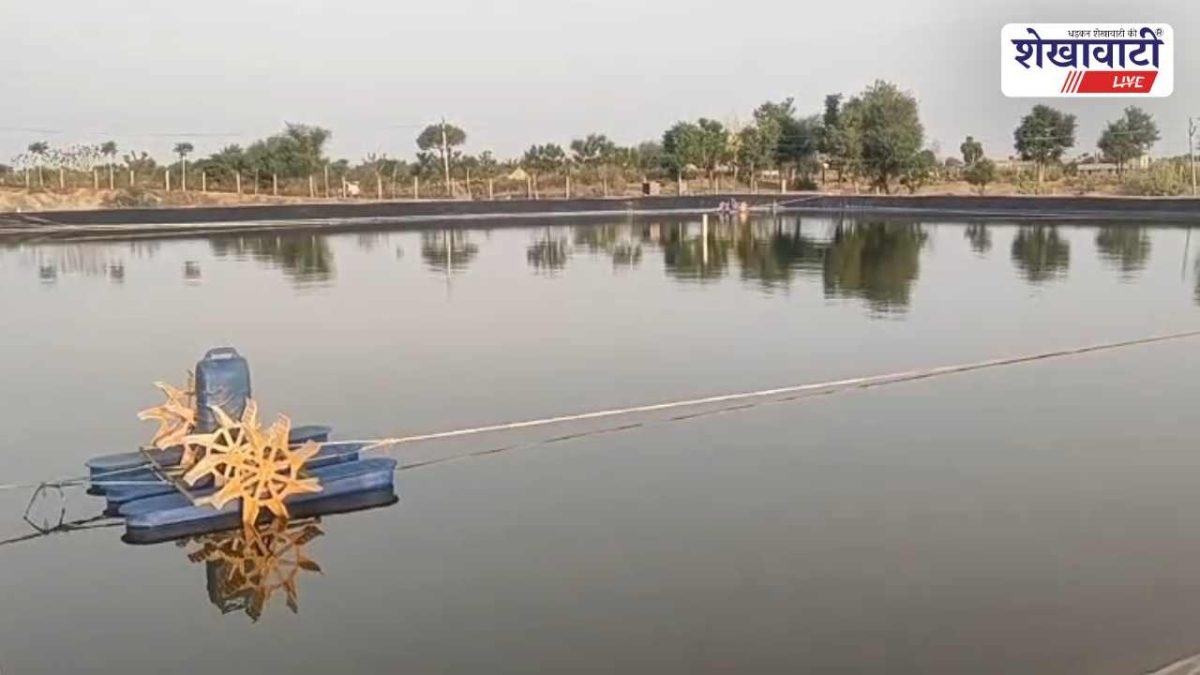खारे पानी को बनाया रोजगार का जरिया, गांव लौटकर बने आत्मनिर्भर