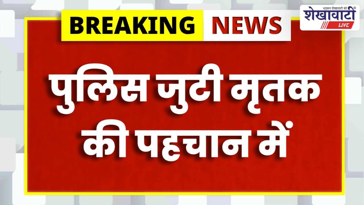NH-11 पर अज्ञात वाहन की टक्कर से व्यक्ति की मौत